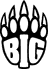 BIG logo