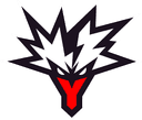 Team Yandex logo